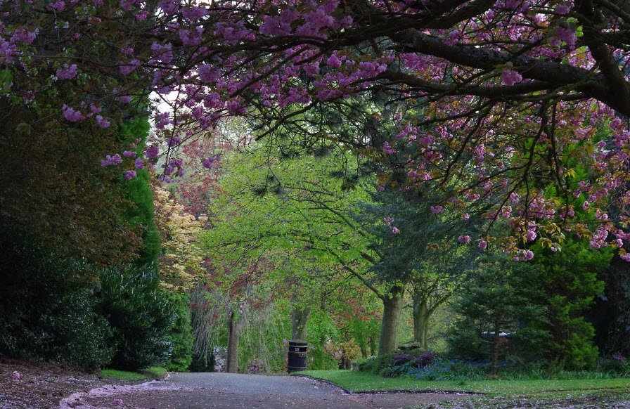 The Arboretum, United Kingdom
